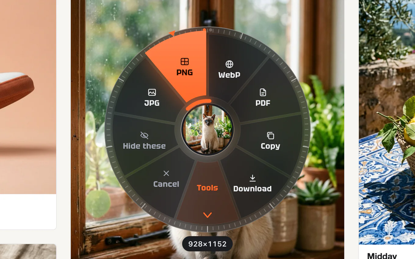 The Picwheel dial open over a photo of a cat on a web page: JPG, PNG, WebP, PDF, Copy, Download and Tools around a thumbnail, PNG lit